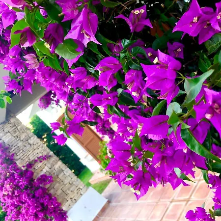 Breathtaking Sea View With A Peaceful Garden Daire Bodrum